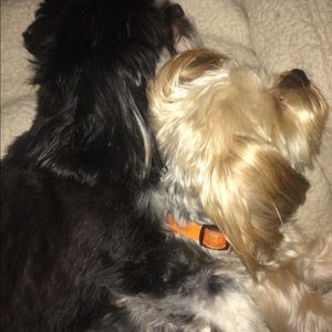 Meet your Posher, Patricia